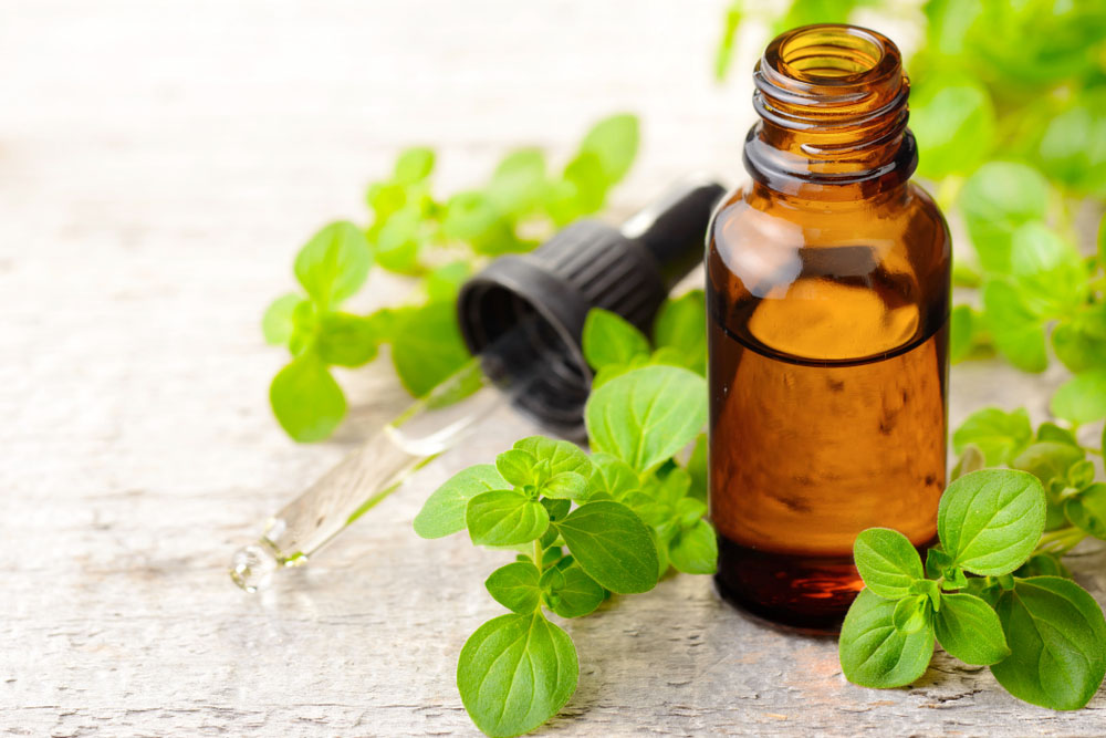 natural antibiotic oregano oil