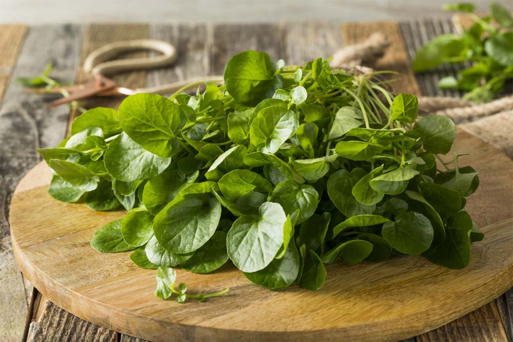 watercress for diabetics